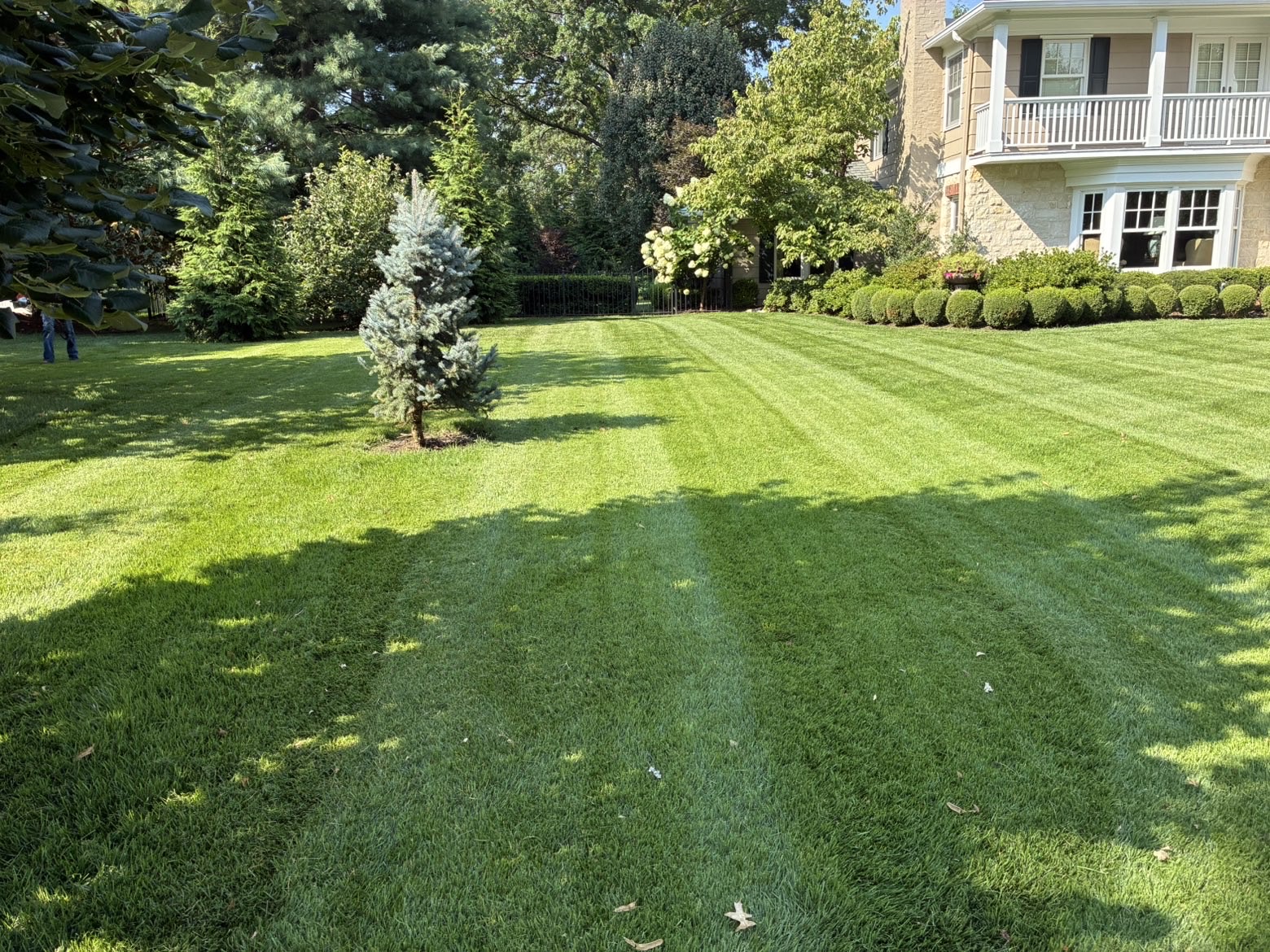 Large backyard with crosshatch mowing pattern
