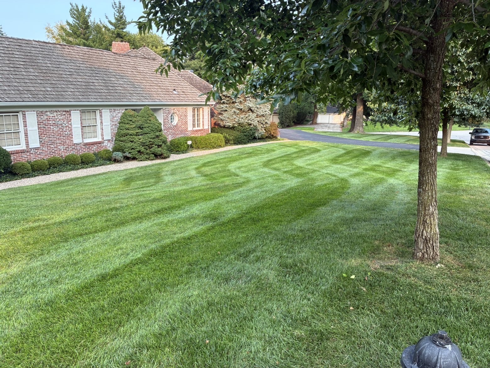 Striped front lawn along a driveway in Mission Hills, KS